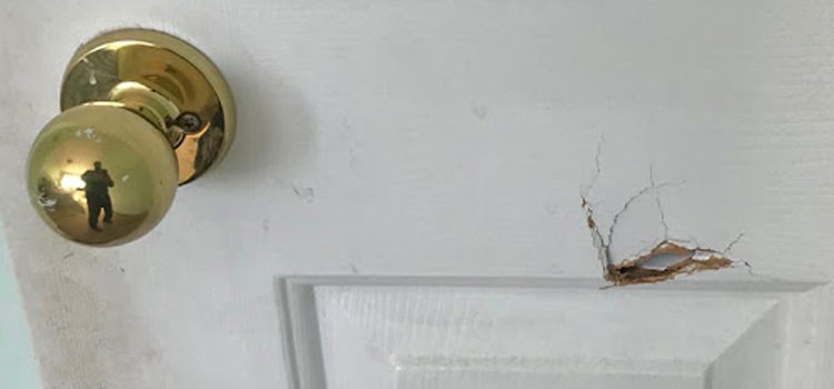 interior door hole repair Hacienda Heights